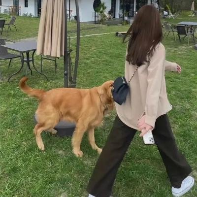 恐惧街：舞会王后