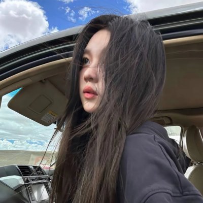历史的总和